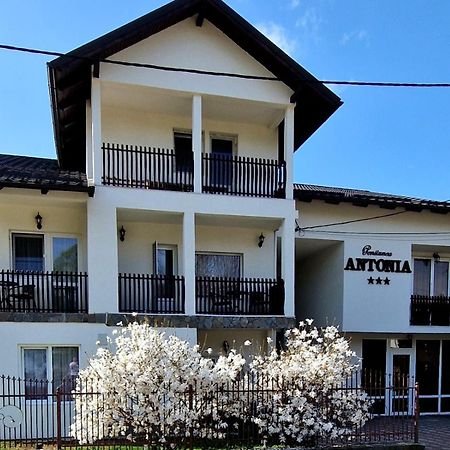 Pensiunea Antonia Vatra Dornei Esterno foto