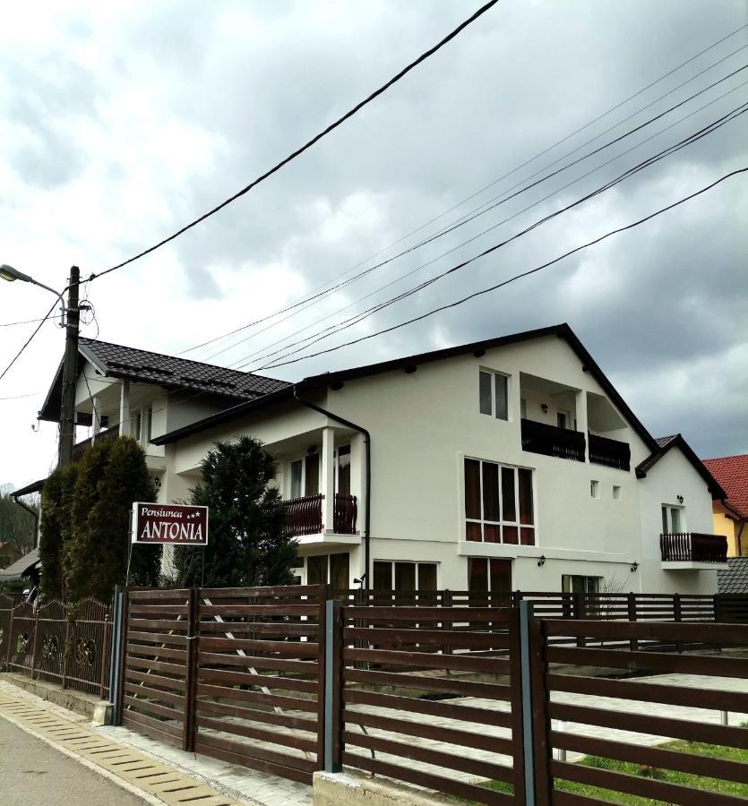 Pensiunea Antonia Vatra Dornei Esterno foto