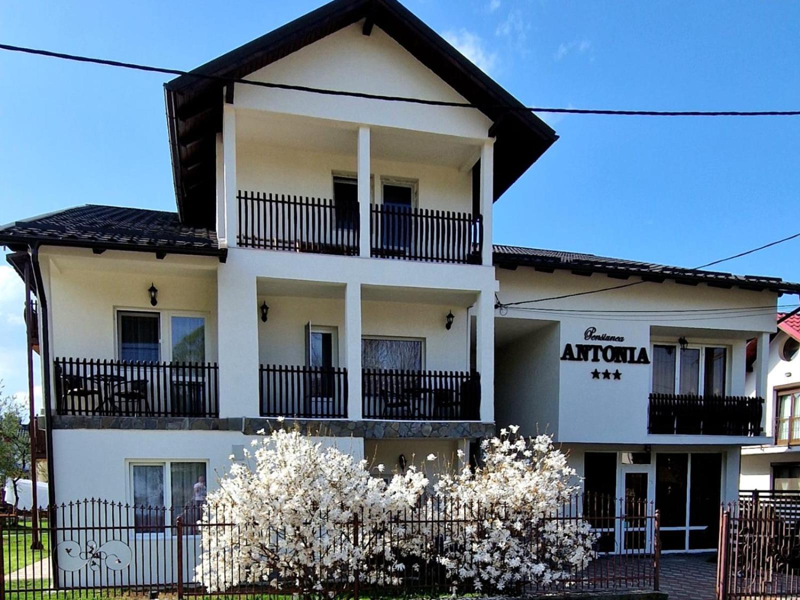 Pensiunea Antonia Vatra Dornei Esterno foto
